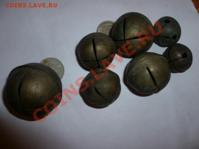 Колокольчики-бубенчики - P1050902.JPG