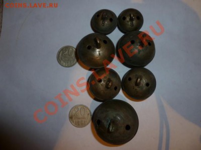 Колокольчики-бубенчики - P1050899.JPG