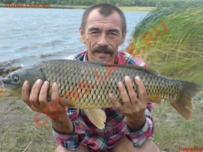 Рыба моей мечты. - DSC01315.JPG