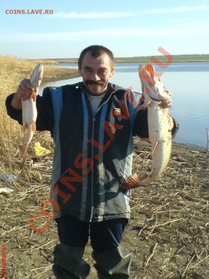 Рыба моей мечты. - DSC01334.JPG