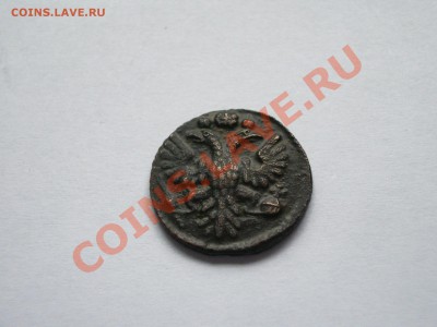 Полушка 1735г. Сохран! Рельеф орла. - IMGP1884.JPG