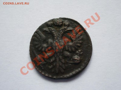 Полушка 1735г. Сохран! Рельеф орла. - IMGP1891.JPG
