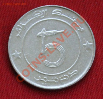 АЛЖИР 5 динаров 2006г. СЛОН до 23.11.13г. в 22-00 - IMG_9193.JPG