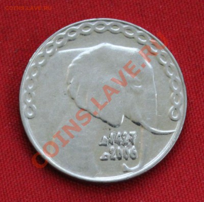 АЛЖИР 5 динаров 2006г. СЛОН до 23.11.13г. в 22-00 - IMG_9195.JPG