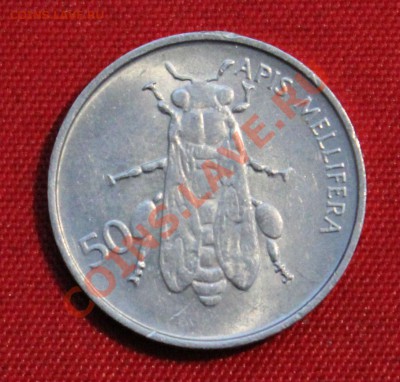 СЛОВЕНИЯ 50 стотинов 1993г. МУХА до 23.11.13г. в 22-00 - IMG_9075.JPG