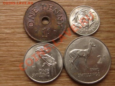 Замбия набор 1966 4 монеты до 20.11.13 в 21.00 М - IMG_6990