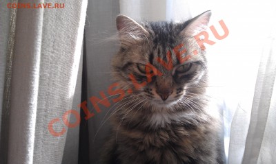три года - IMAG0129