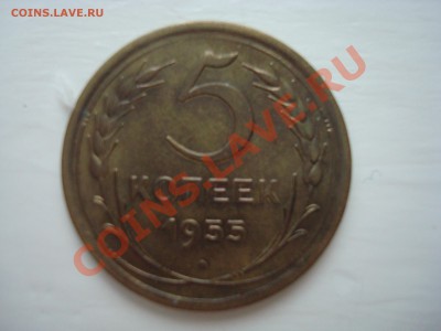 5 к.1955 до 21.00 мск 24.11.13 - DSC08073.JPG