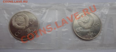 Сцепка новоделов - Ломоносов, Менделеев, Попов - DSC01340