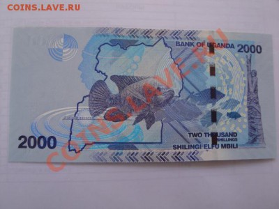 Уганда  серия АА... 2 000 шилингов Фауна  до 25.11 - много бон 007.JPG