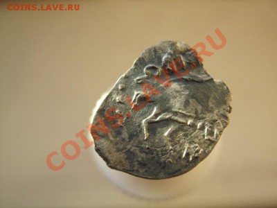 чешуйка , определения и оценка . - IMG_2874