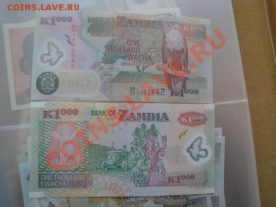 Замбия  1000 и 2 квача  пресс до 25.11 в 22-00 мск - много бон 054.JPG