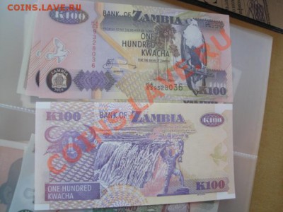 Замбия  50 и 100  квача  пресс до 25.11 в 22-00 мск - много бон 053.JPG