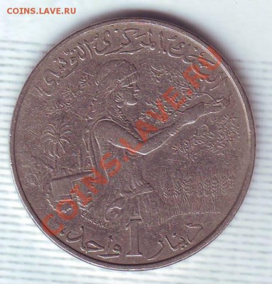 Тунис.Динар.1983.F.A.O.до 27.11 - 19830031.JPG