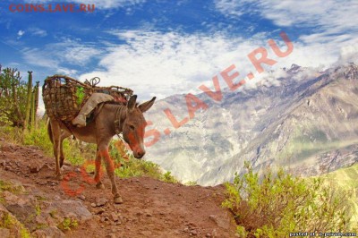Что для Вас, значит наша планета? - kanon_kolka-peru
