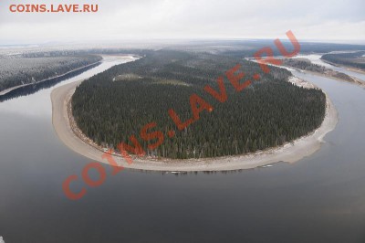 Что для Вас, значит наша планета? - девственные леса Республики Коми-2