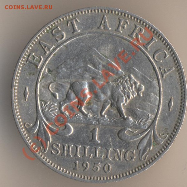 1 шиллинг 1950 года, медно-никелевый сплав, тираж - 56362000 экземпляра. - 15