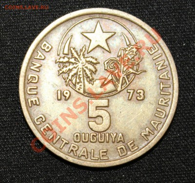 МАВРИТАНИЯ 5 угий 1973г.до 28.11.13г. в 22-00 - IMG_9328.JPG
