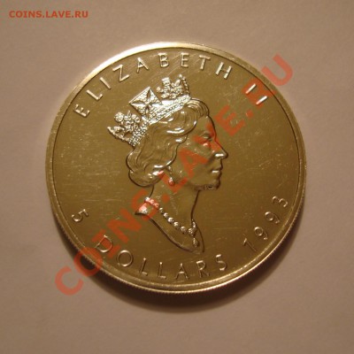 5 Dollars, Elizabeth 2, 1993 г., оценка - DSC04859.JPG