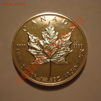 5 Dollars, Elizabeth 2, 1993 г., оценка - DSC04860.JPG