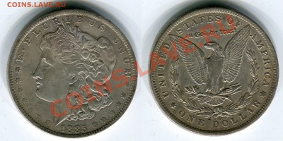 1 $ Моргана 1885 О, до 28.11.2013 в 22-00 Мск. - 1885 O