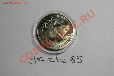 2 гривнi Слiпак Пiщаний 2005 короткий до 26.11.2013 23:00 - IMG_1663.JPG