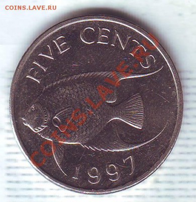 Бермуды.5 Центов.1997.Рыба. до 30.11 - 19970092.JPG