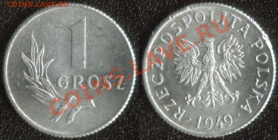 Польша 1 грош 1949 до 22:00мск 01.12.13 - Польша 1 грош 1949 (30)