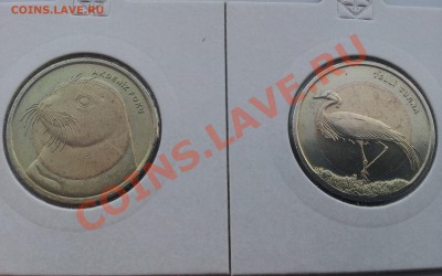 ТУРЦИЯ 1 лира Кр Книга 2011 и 2013 гг до 27.11.2013 22 00 - Turkish1