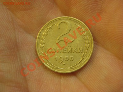 2 копейки 1955 ---------------- 1.12.13, в 22.10 - IMG_5786.JPG