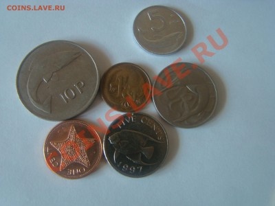 меняю иностранные моеты на иностраннные. - DSC05689.JPG