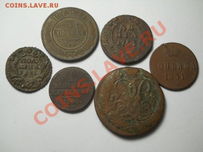 Царская медь (солянка) до 28.11.13  22.00 моск - DSCN0039 (640x480)