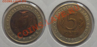 Рыбный филин на Осетию,Дагестан или ГВС-2013 - DSCN3945