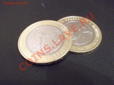 Осетия-Алания Гурт от Сочи 180 рифов - 2шт - DSCF4112.JPG