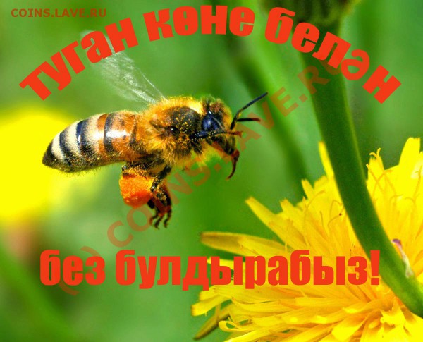 v.k.mannanov - ДЕНЬ РОЖДЕНИЯ! - Земляку_В_День_Рождения