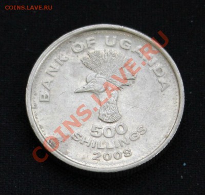 УГАНДА 500 шиллингов 2008г. СТРАУС до 3.12.13г. в 22-00 - IMG_9619.JPG