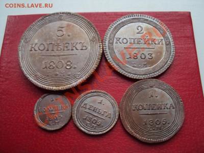 Кольцевики - колбцевик