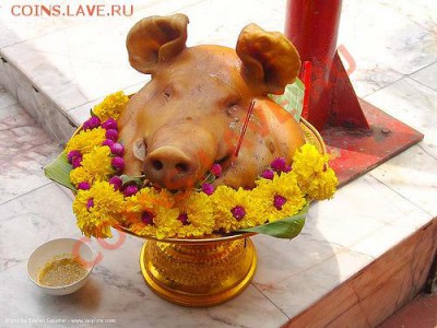 Вопрос коллекционерам монет по теме "фауна" - эs