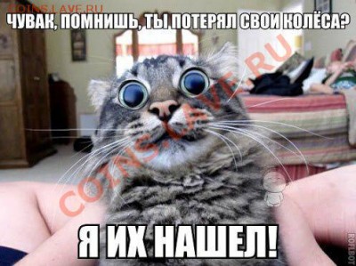юмор - w-bCJJ5NI-0