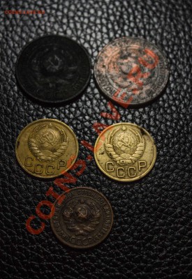 3 копейки 1924, 1 коп.1924 и т.д. до 30.11.13 - IMG_3298