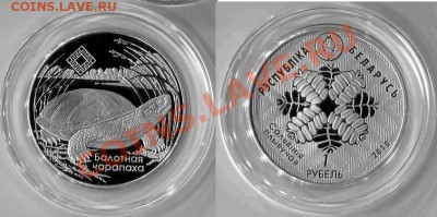 БЕЛАРУСЬ 2010г Черепаха.Средняя Припять. ТИРАЖ 3000шт.01.12. - Черепаха.
