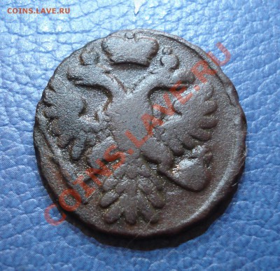 ДЕНГА  1740г - Денга 1740_2