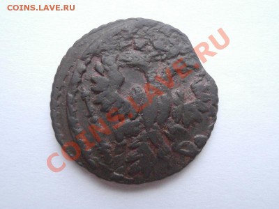 Полушка 1736г,окончание 3.12.13,22-00 по Москве - PB271787.JPG