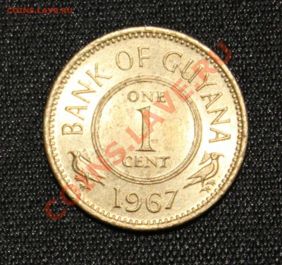 GUYANA 1с 1967г. ПТИЧКИ  до 5.12.13г. в 22-00 - IMG_9370.JPG