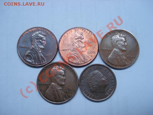5 односентовиков до 1.02.10 - DSC05592_resize.JPG