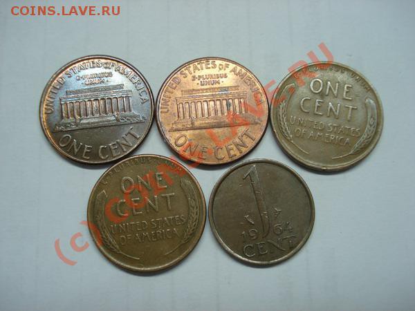 5 односентовиков до 1.02.10 - DSC05591_resize.JPG