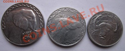 монеты 1 2 и 5 динара алжир - 33