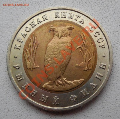 5 руб. Рыбный филин 1991 г. до 05.12.13 22:00 МСК - DSCN0176.JPG