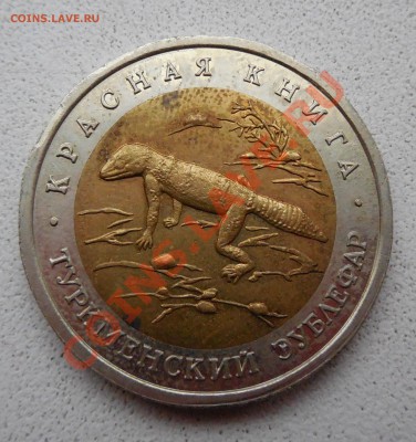50 руб. Туркменский эублефар 1993 г. до 05.12.13 22:00 МСК - DSCN0182.JPG