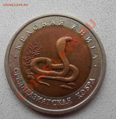 10 руб. Среднеазиатская кобра 1992 г. до 05.12.13 22:00 МСК - DSCN0188.JPG